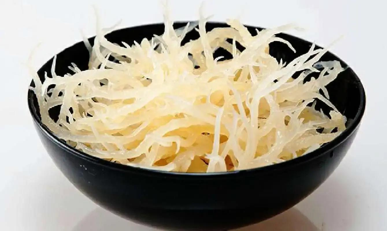 jasa undername ekspor